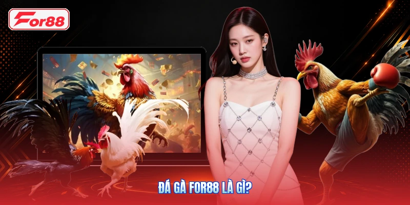 Đá gà FOR88 là gì?