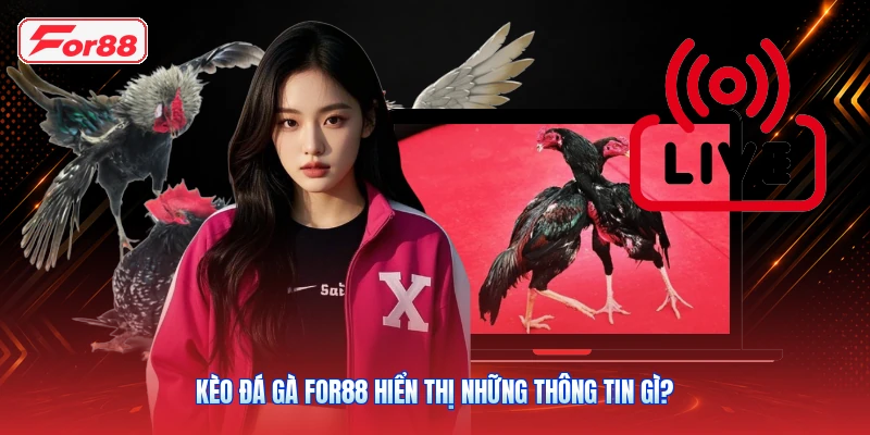 Kèo Đá Gà FOR88 Hiển Thị Những Thông Tin Gì?